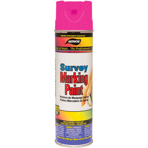 Peinture de marquage &agrave; base de solvant, 17 oz, Canette a&eacute;rosol Nassau Supply