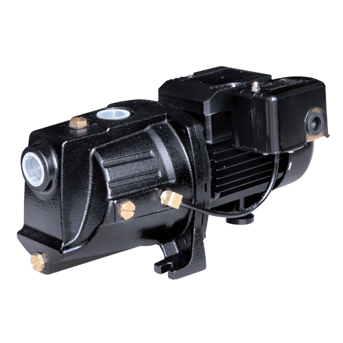Pompe &agrave; jet en fonte &agrave; double tension pour puit peu profond, 230 V, 710 gal./h, 1/2 CV Nassau Supply