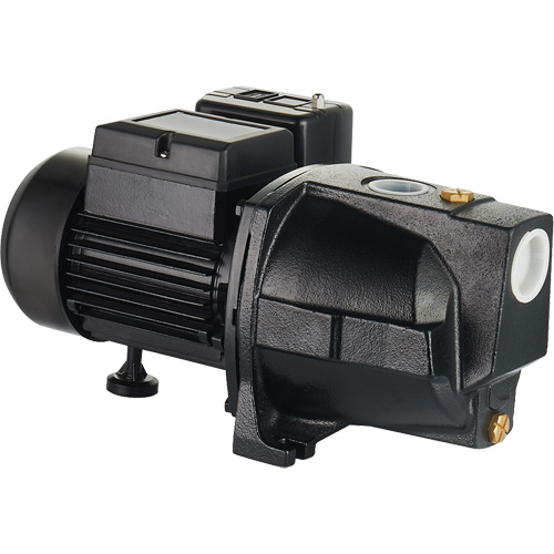 Pompe &agrave; jet en fonte &agrave; double tension pour puit peu profond, 115 V/230 V, 1100 gal./h, 1 CV Nassau Supply