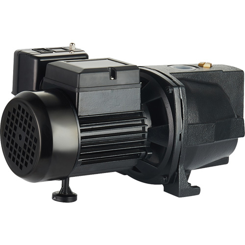 Pompe &agrave; jet en fonte &agrave; double tension pour puit peu profond, 115 V/230 V, 1100 gal./h, 1 CV Nassau Supply