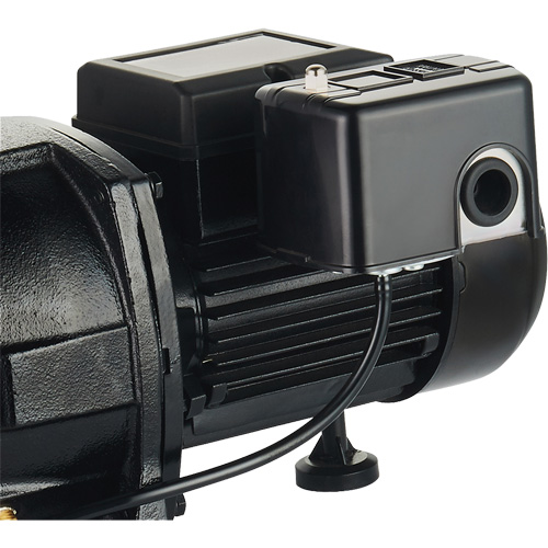 Pompe &agrave; jet en fonte &agrave; double tension pour puit peu profond, 115 V/230 V, 1100 gal./h, 1 CV Nassau Supply