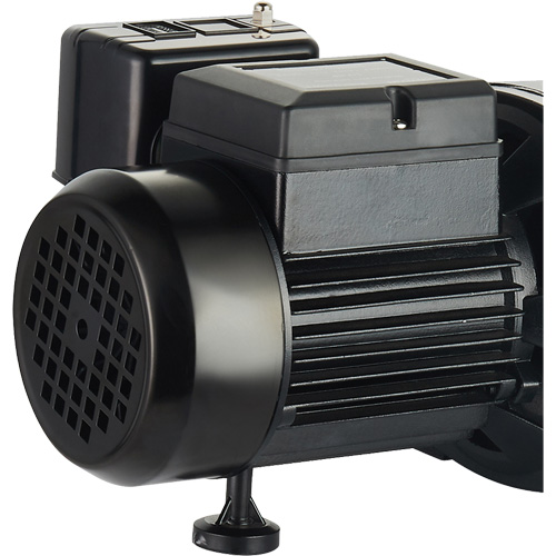 Pompe &agrave; jet en fonte &agrave; double tension pour puit peu profond, 115 V/230 V, 1100 gal./h, 1 CV Nassau Supply