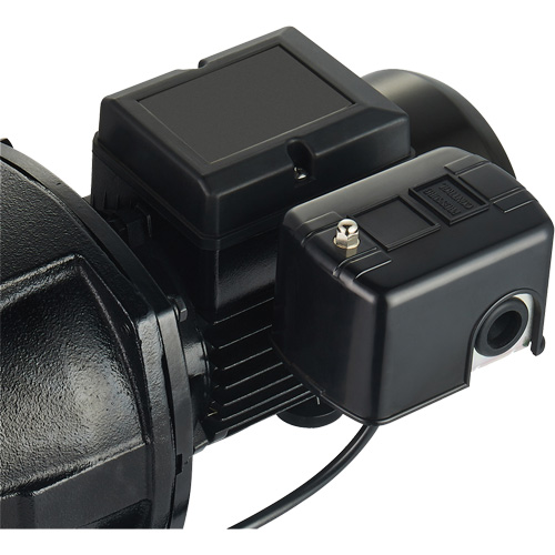 Pompe &agrave; jet en fonte &agrave; double tension pour puit peu profond, 115 V/230 V, 1100 gal./h, 1 CV Nassau Supply