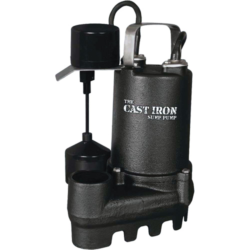 Pompe de puisard submersible en fonte avec interrupteur &agrave; flotteur vertical, 67 gal./min, 33 V, 5 A, 1/3 CV Nassau Supply
