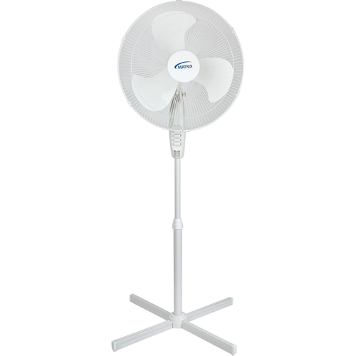 Oscillating Pedestal Fan, Commercial, 3 Speed, 18" Diameter Nassau Supply