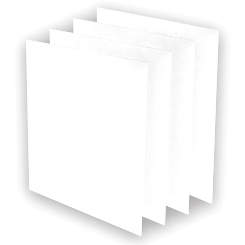 Pr&eacute;-filtres AeraMax Pro AM3 ou AM4, 13,75" la x 0,13" p x 14,38" h Nassau Supply