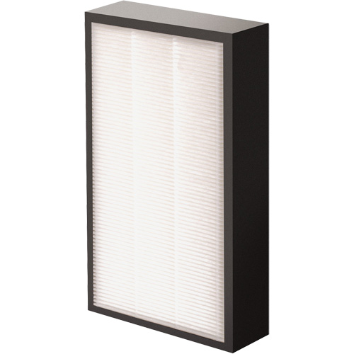 AeraMax&reg; Pro AM2 1-3/4" True HEPA Filter, Box, 7.38" W x 1.88" D x 12.88" H Nassau Supply
