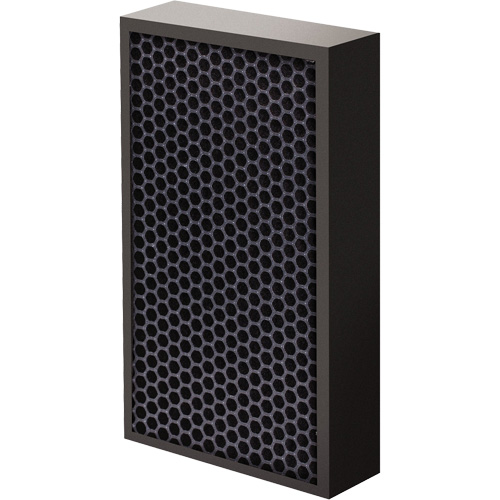 Filtre au carbone AeraMax Pro AM2 1-3/4", Boîte, 7,38" la x 1,88" p x 12,88" h Nassau Supply