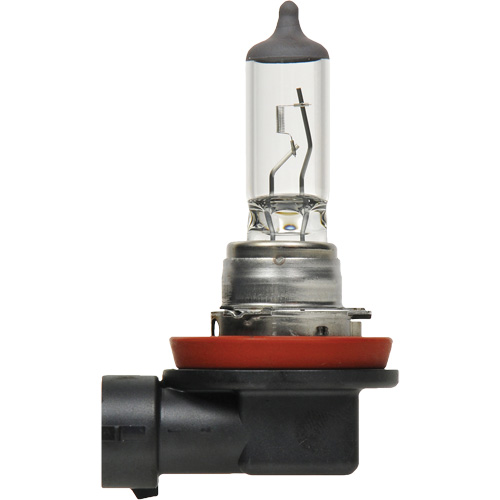 Ampoule de base pour feu avant H8, Halog&egrave;ne, 35 W, Blanc cass&eacute; Nassau Supply