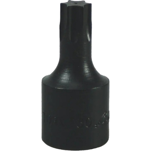 Embout Torx&reg; T-50 Nassau Supply