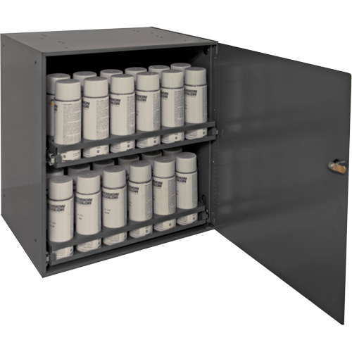 Aerosol Storage Cabinet, Steel, 21-7/8" H x 15-15/16" W x 20-5/16" D, Grey Nassau Supply