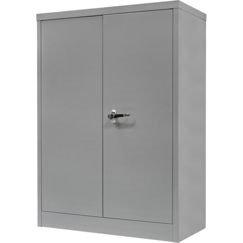 Counter-High Storage Cabinet, Steel, 2 Shelves, 42" H x 48" W x 24" D, Grey Nassau Supply