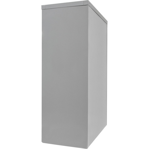 Counter-High Storage Cabinet, Steel, 2 Shelves, 42" H x 48" W x 24" D, Grey Nassau Supply