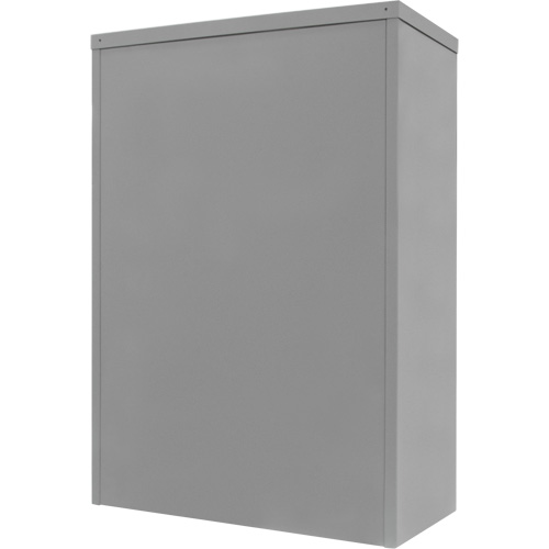 Counter-High Storage Cabinet, Steel, 2 Shelves, 42" H x 48" W x 24" D, Grey Nassau Supply