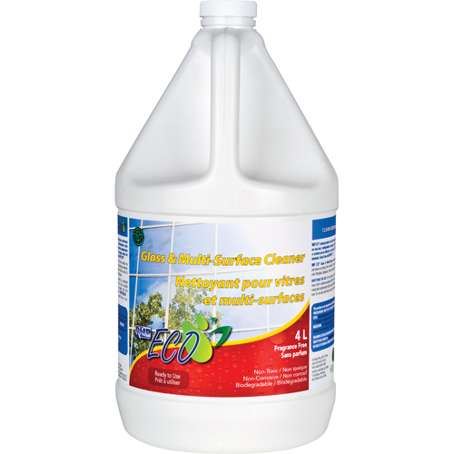 Glass & Multi-Surface Cleaners, 4 L, Jug Nassau Supply