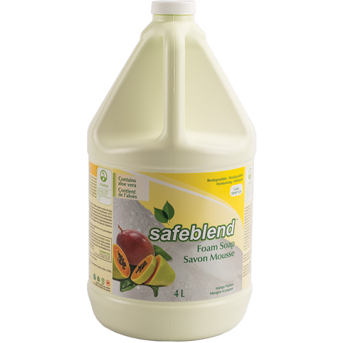 Hand & Body Soap, Foam, 4 L, Scented Nassau Supply