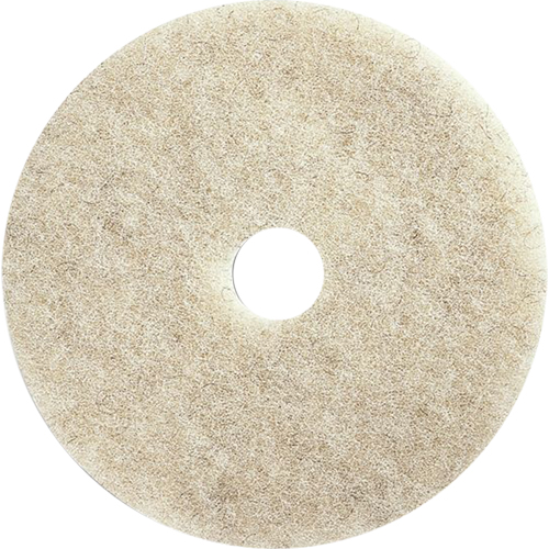 Tampons pour l'entretien des planchers, 24", Brunissage, Brun Nassau Supply