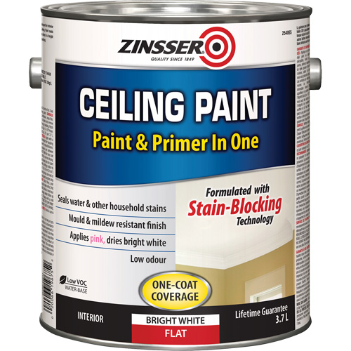 Peinture et appr&ecirc;t pour plafond en un seul produit, Blanc, Tr&egrave;s mat, 3,78 L, Gallon Nassau Supply