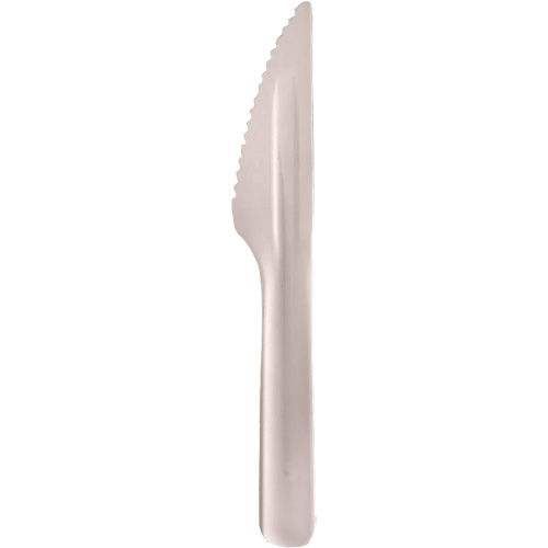 Bagasse Compostable Knives Nassau Supply