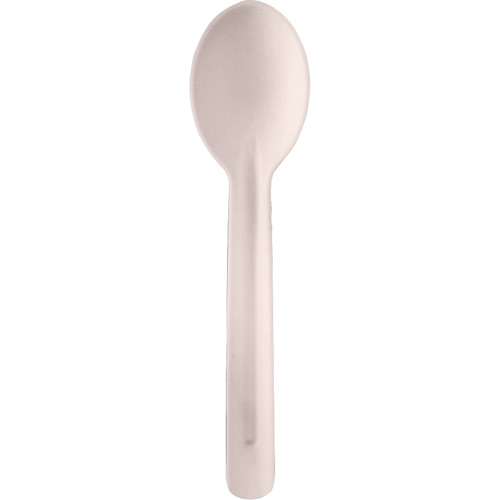 Bagasse Compostable Spoons Nassau Supply