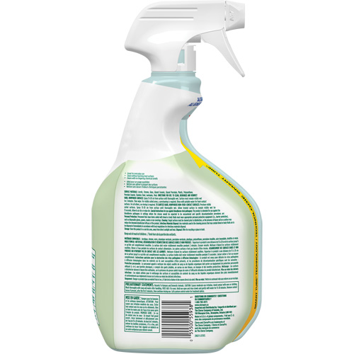 CloroxPro Clorox EcoClean Disinfecting Cleaner, 946 ml, Trigger Bottle Nassau Supply