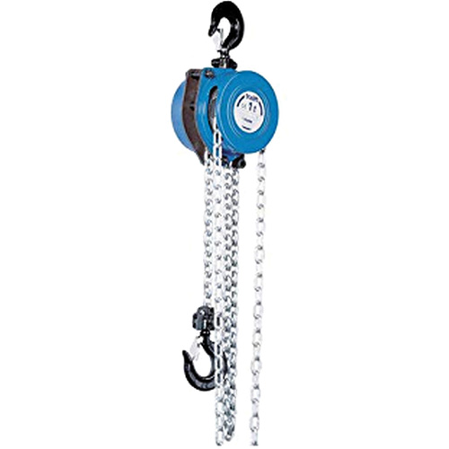 Tralift&reg; Manual Chain Hoist, 10' Lift, 4000 lbs. (2 tons) Capacity, Grade 80 Chain Nassau Supply