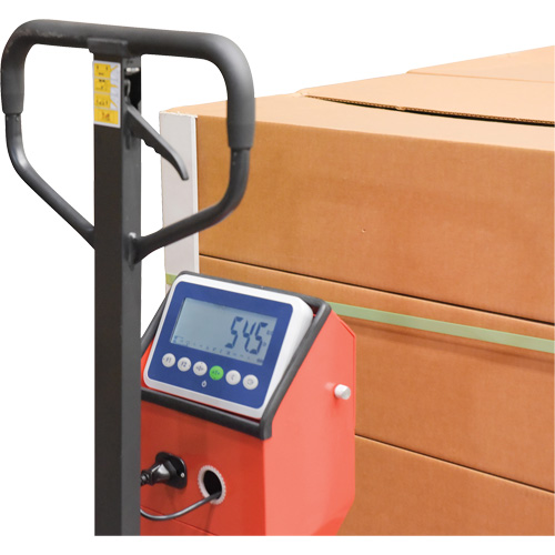 Transpalette, 48" lo x 27,5" la, Capacit&eacute; de 5000 lb Nassau Supply