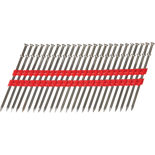 16D Collated Duplex Nails Nassau Supply