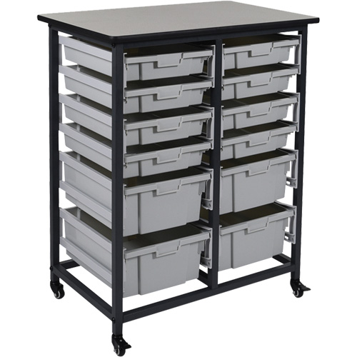Mobile Bin Storage Unit, Single-sided, 12 bins, 30-3/4" W x 20" D x 37-1/2" H Nassau Supply