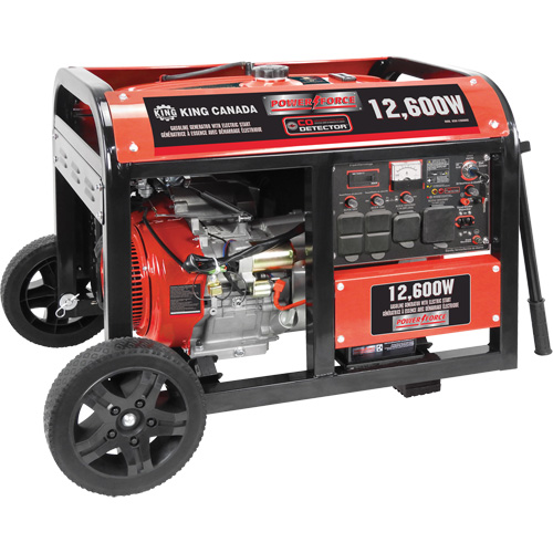 Gasoline Generator with Electric Start, 12600 W Surge, 9000 W Rated, 120 V/240 V, 31 L Tank Nassau Supply