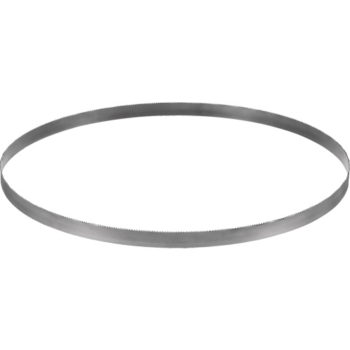 Cordless Band Saw Blade, Bi-Metal, 32-7/8" L x 0.02" Thick, 14-18 TPI Nassau Supply