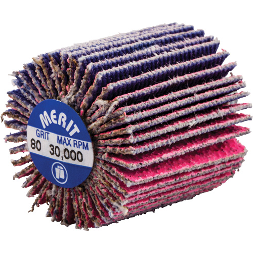 Mini-meule &agrave; lamelles filet&eacute;es, C&eacute;ramique d'alumine, Grain 80, 1" x 1" x 1/4"-20 Nassau Supply