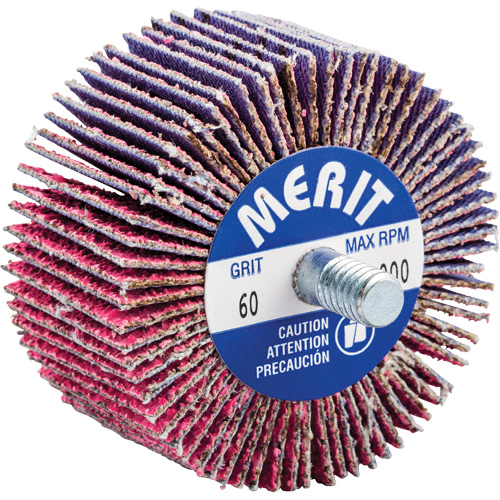 Threaded Mini Flap Wheel, Ceramic Alumina, 60 Grit, 2" x 1" x 1/4"-20 Nassau Supply