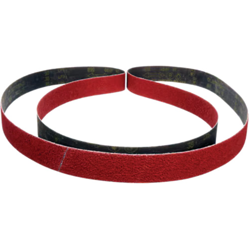 Cubitron II Abrasive Belt 984F, 2" W x 15-5/8" L, Ceramic, 36+ Grit Nassau Supply