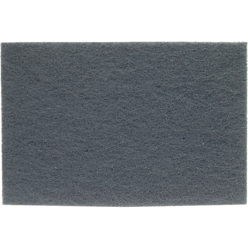 Tampons manuels Bear-Tex, Carbure de silicium, 6" x 9", Grain Micro fin Nassau Supply