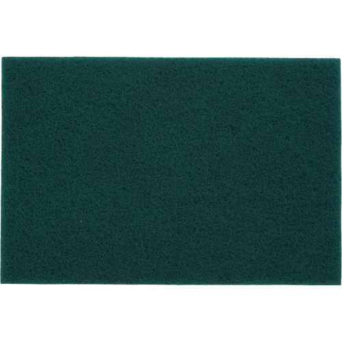 Tampons manuels Bear-Tex, Oxyde d'aluminium, 6" x 9", Grain Tr&egrave;s fin Nassau Supply