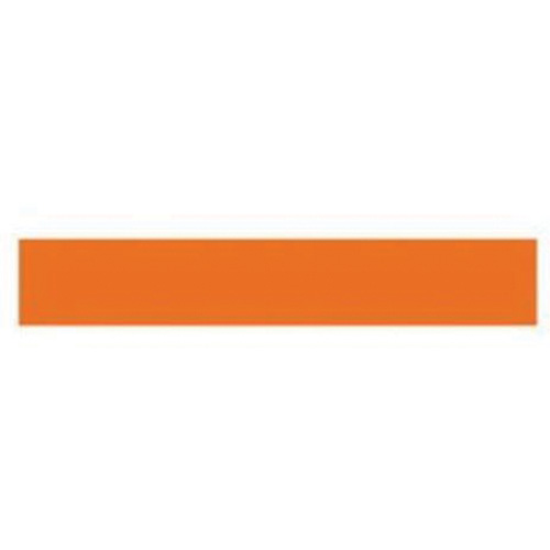 Write-On Magnetic Label, Magnetic, 600" L x 1" W Nassau Supply
