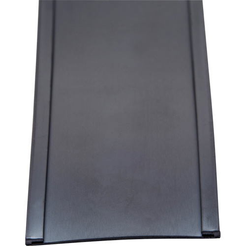 Porte-&eacute;tiquette, Magn&eacute;tique, 600" lo x 2" la Nassau Supply