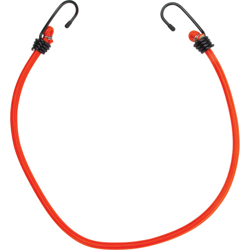 Sangles d'arrimage &eacute;lastiques, 24" Nassau Supply