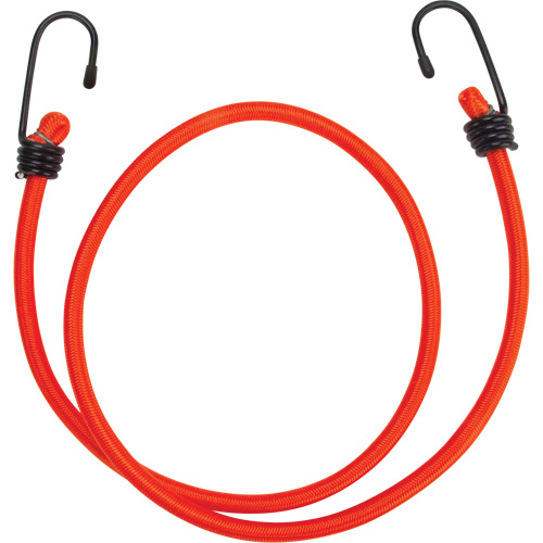 Bungee Cord Tie Downs, 36" Nassau Supply