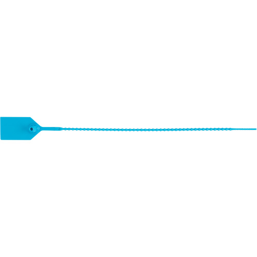 Scell&eacute; de s&eacute;curit&eacute; standard, 12", Plastique, Scell&eacute; en plastique Nassau Supply