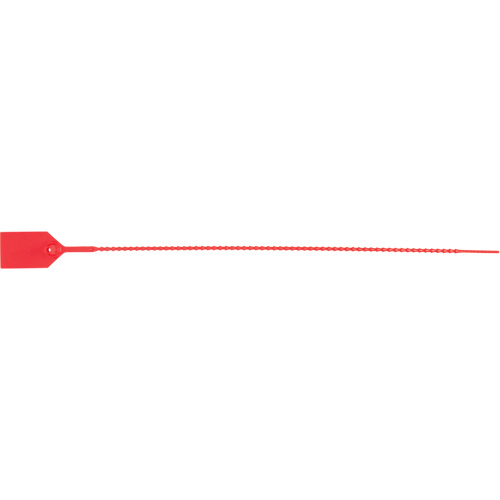 Scell&eacute; de s&eacute;curit&eacute; standard, 15", Plastique, Scell&eacute; en plastique Nassau Supply