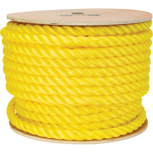 Corde jaune tress&eacute;e, Polypropyl&egrave;ne, 144' Nassau Supply