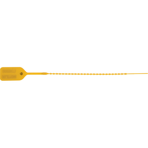 Scell&eacute; de s&eacute;curit&eacute; standard, 9", Plastique, Pousser et tirer Nassau Supply