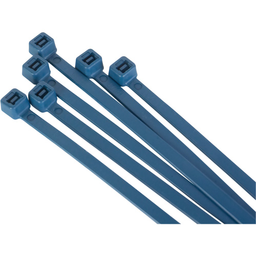 Attache-c&acirc;bles d&eacute;tectables par d&eacute;tecteur de m&eacute;taux, 6" lo, R&eacute;sistance &agrave; la traction 120 lb Nassau Supply