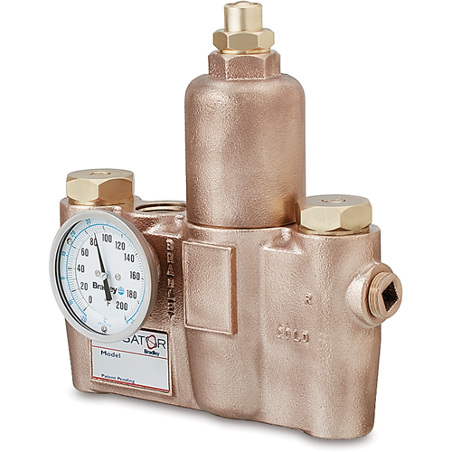 Thermostatic Mixing Valves, 19.5 GPM Nassau Supply