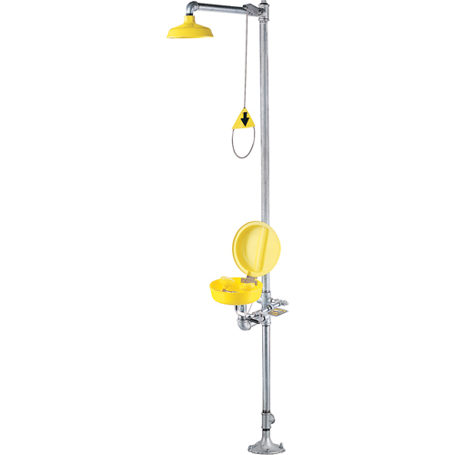 Combination Shower Eye/Face Wash With Cover Nassau Supply