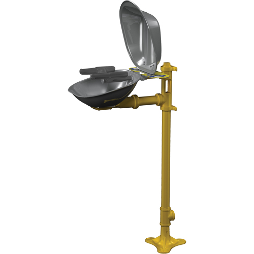 Halo Face/Eyewash Stations, Pedestal Installation, Stainless Steel Bowl Nassau Supply