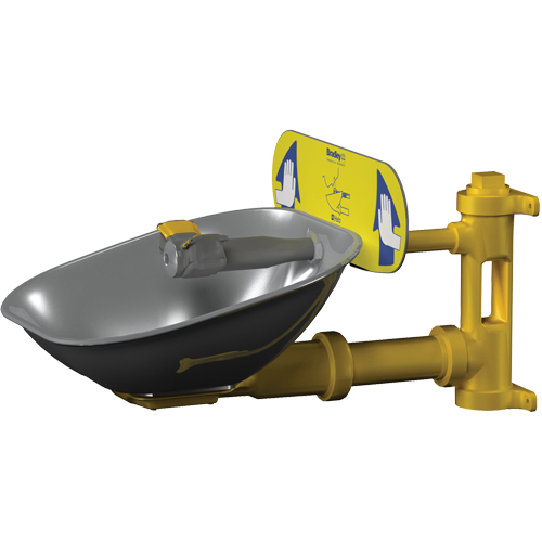 Poste de douche oculaire Halo, Installation Montage mural, Bol Acier inoxydable Nassau Supply