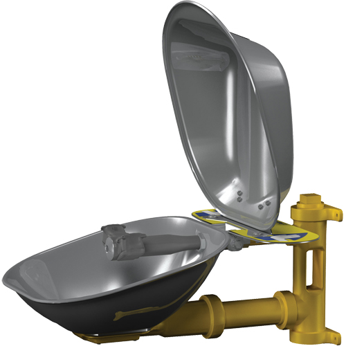 Halo Eyewash Stations, Wall-Mount Installation, Stainless Steel Bowl Nassau Supply